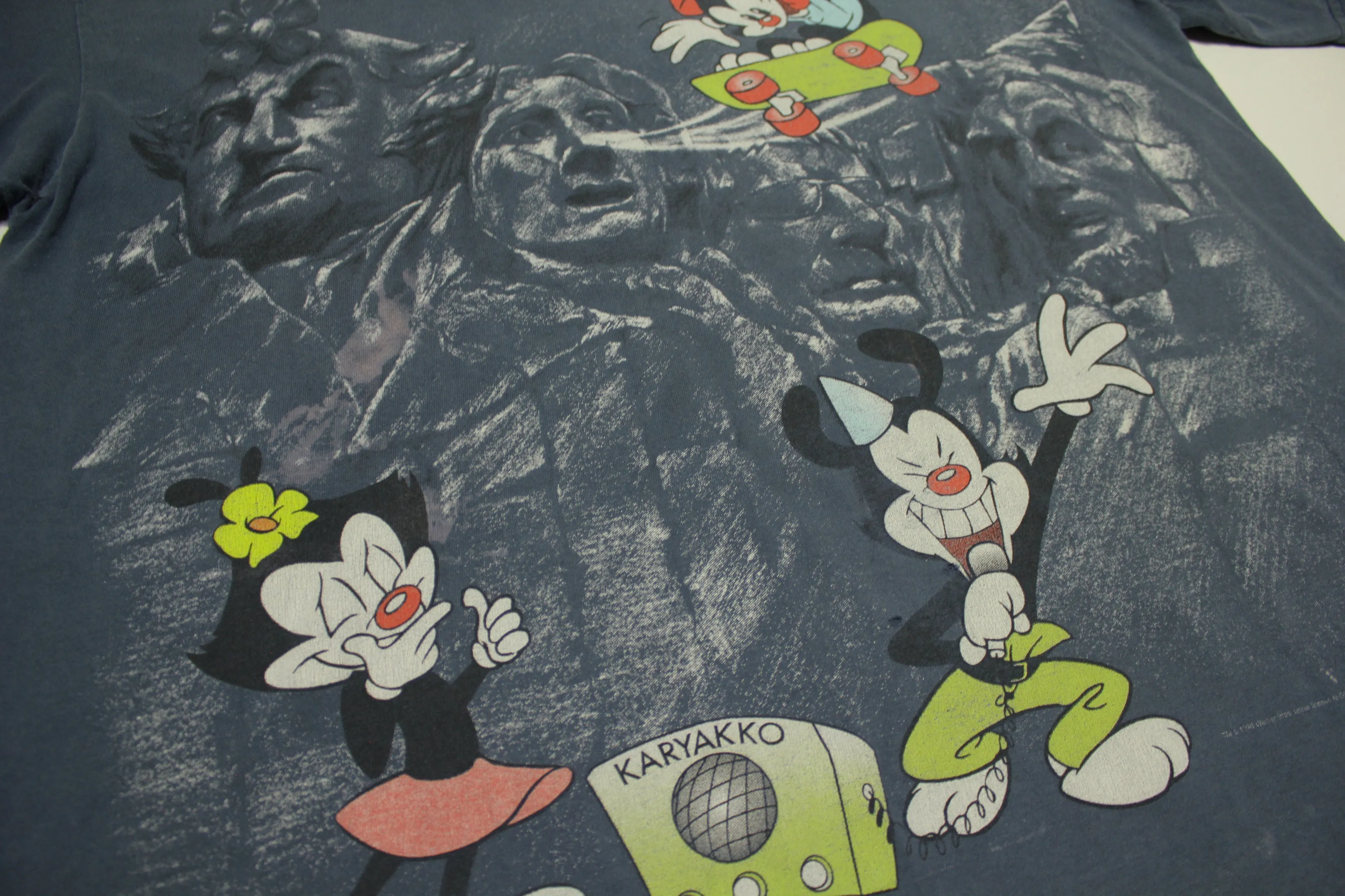 Animaniacs 1995 Vintage Skateboard Mt Rushmore Karyakko 90's Warner Bros Promo T-Shirt