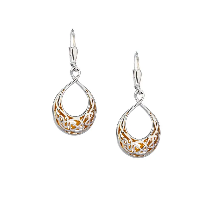 Window to the Soul Teardrop Earrings